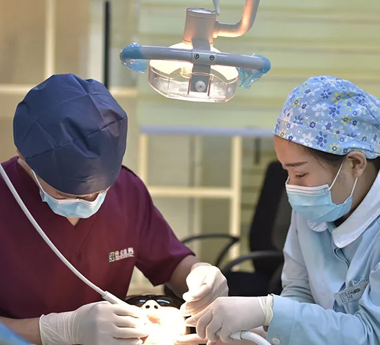 Genel Diş Hekimliği